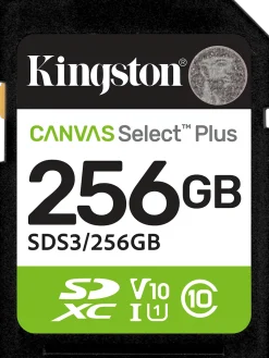 Kingston Canvas Select Plus - Flash-minneskort - 256 GB - Video
