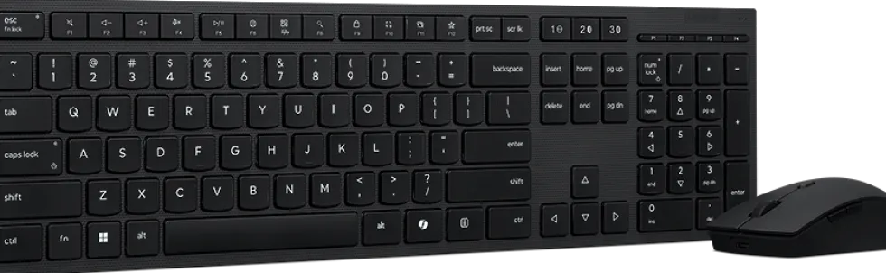 Lenovo Professional - Sats med tangentbord och mus - full size