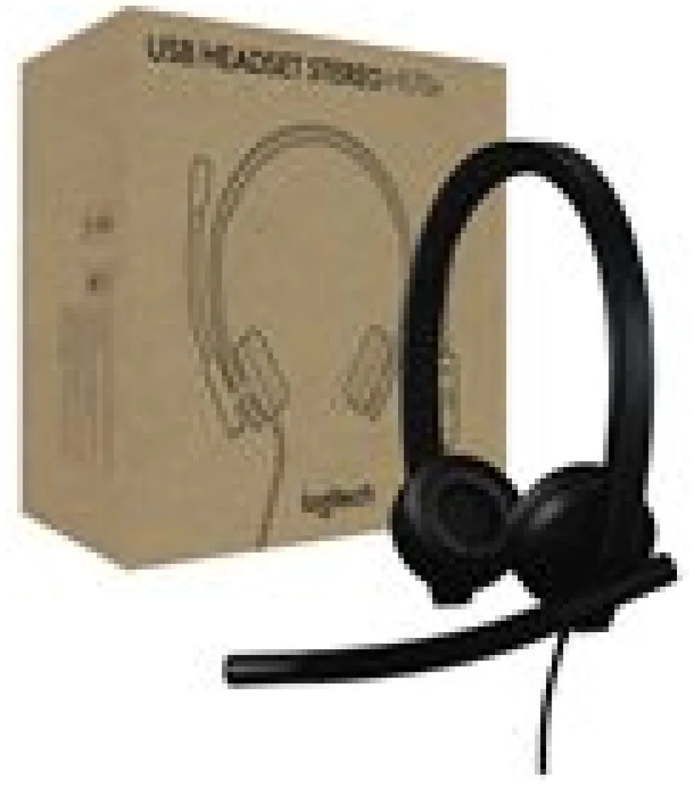 Logitech H570e - Headset - på örat - kabelansluten - USB-A