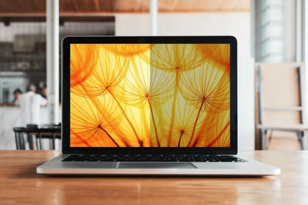 3M Bright Screen Privacy Filter - Sekretessfilter till bärbar