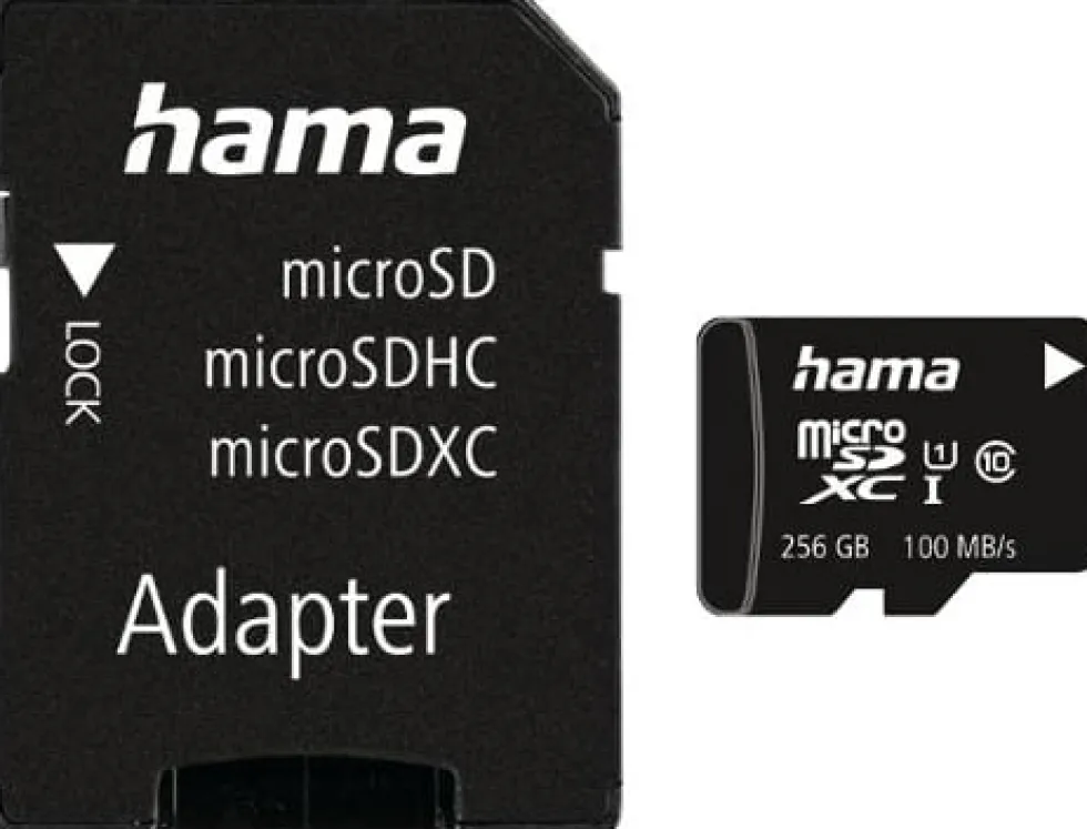 Minneskort HAMA Micro SDHC 256GB CL10