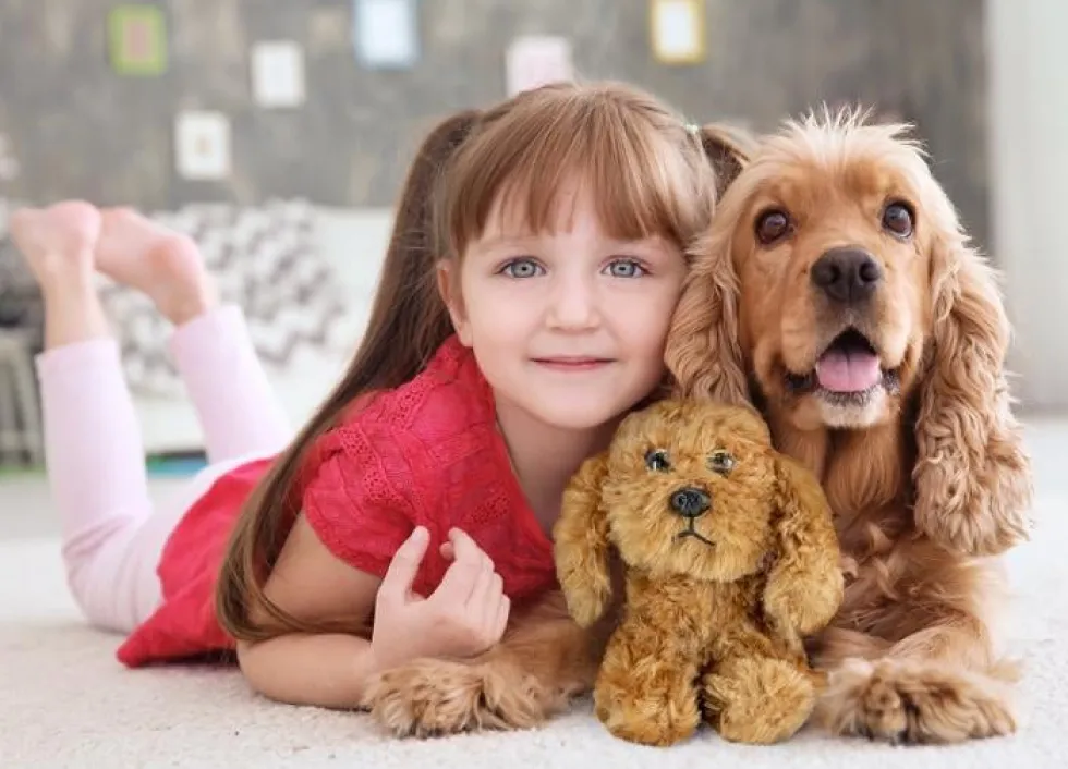 Mjukdjur Lumo Cockerspaniel