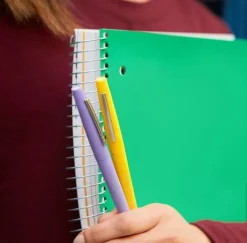 Märkpenna PAPERMATE Flair pastell 12/fp