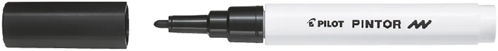 Märkpenna PILOT Pintor F 6 färger/fp