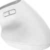 Mus Ergonomisk TRUST Bayo+ Trådlös vit