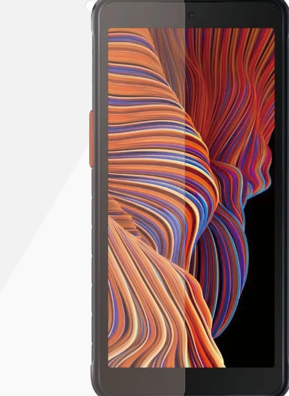 PanzerGlass Samsung Galaxy Xcover 5 (CF)