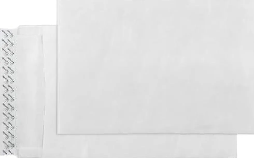 Påse TYVEK B4 expander PS 100/fp