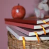 Rhodiarama soft A5 burgundy ruled ivory