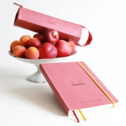 Rhodiarama tray pencase Daffodil