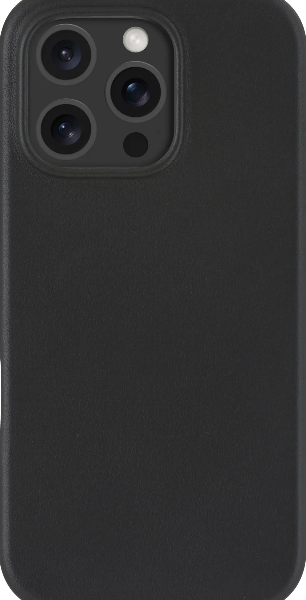 Roskilde 2 MagSafe - iPhone 16 Pro - Black