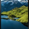 Samsung OH75A - 75" Diagonal klass (74.5" visbar) - OHA Series