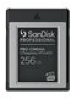 SanDisk Professional - Flash-minneskort - 256 GB - CFexpress,