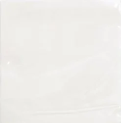 Servett 2-lags EXACO 38x38cm vit 40/fp