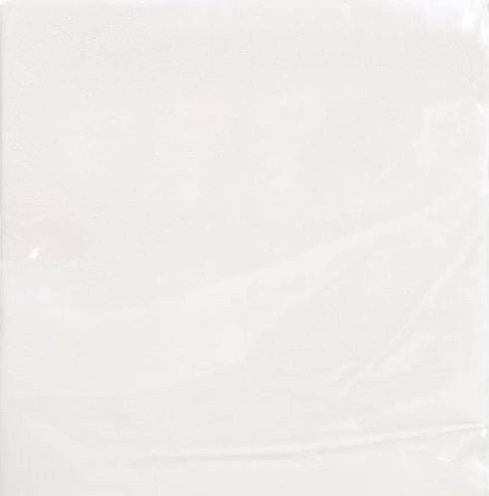 Servett 2-lags EXACO 38x38cm vit 40/fp