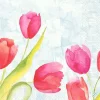 Servett Tulips 3-lags 40x40cm 250/fp