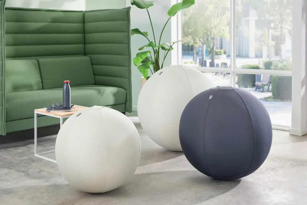 Sittboll LEITZ Ergo m stopp mö/grå 65cm