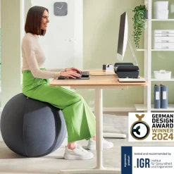 Sittboll LEITZ Ergo m stopp mö/grå 65cm