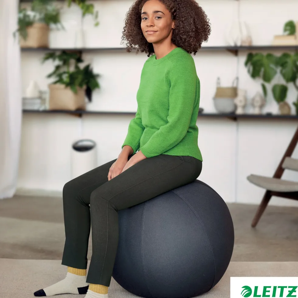 Sittboll LEITZ Ergo m stopp mö/grå 65cm