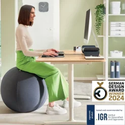 Sitting Ball Ergo 75cm anti-roll-away dark grey