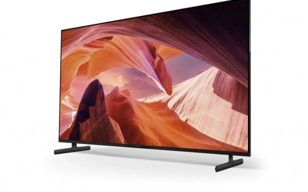Sony Bravia Professional Displays FWD-65X80L - 65" Diagonal