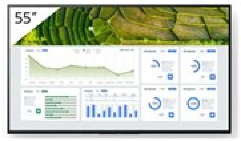 Sony Bravia Professional Displays FW-55BZ30L - 55" Diagonal