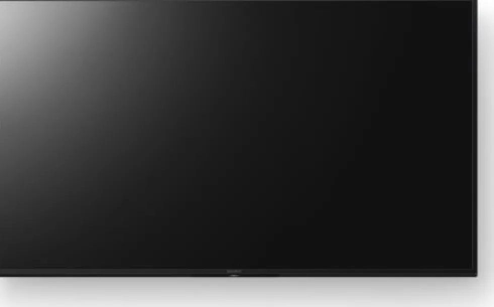 Sony Bravia Professional Displays FW-50EZ20L - 50" Diagonal