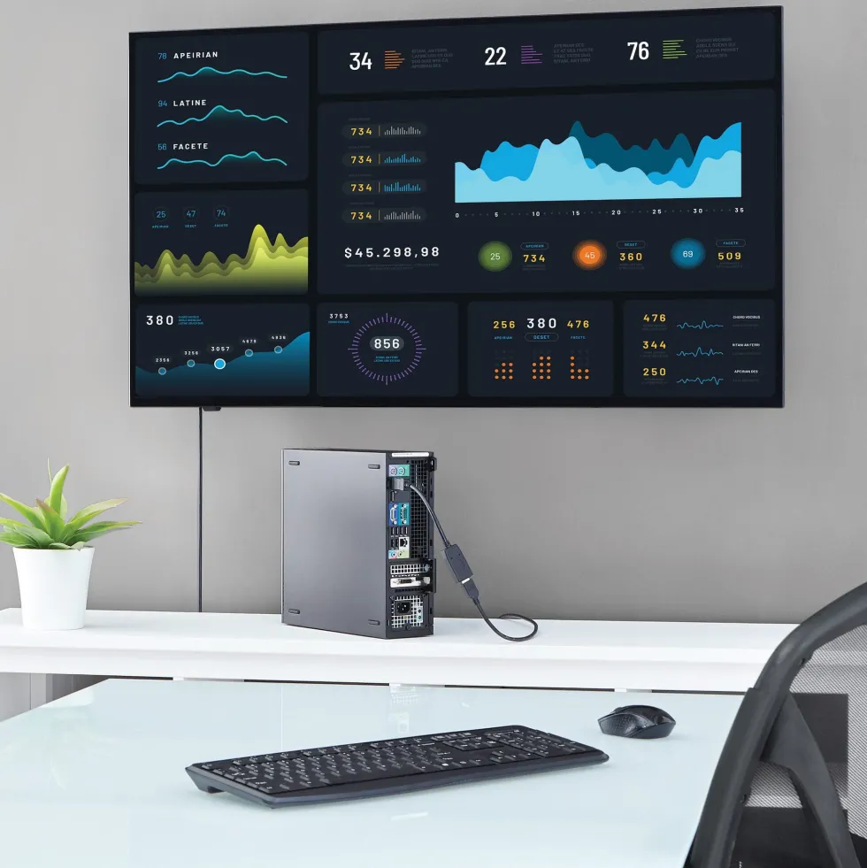 StarTech.com DisplayPort till HDMI-videoadapter - Videokort
