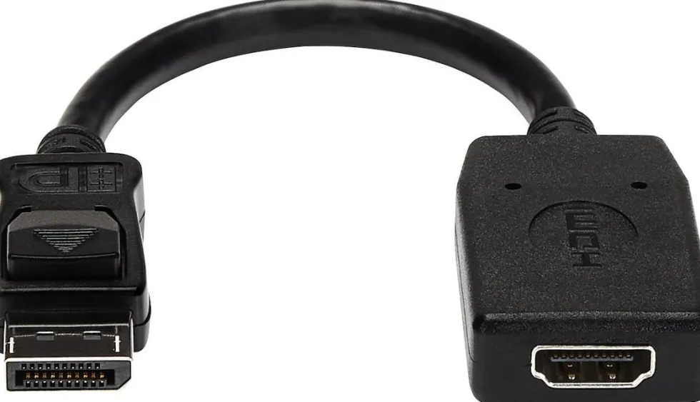 StarTech.com DisplayPort till HDMI-videoadapter - Videokort