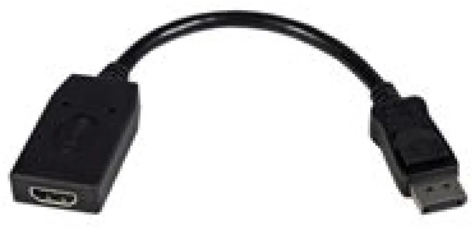 StarTech.com DisplayPort till HDMI-videoadapter - Videokort