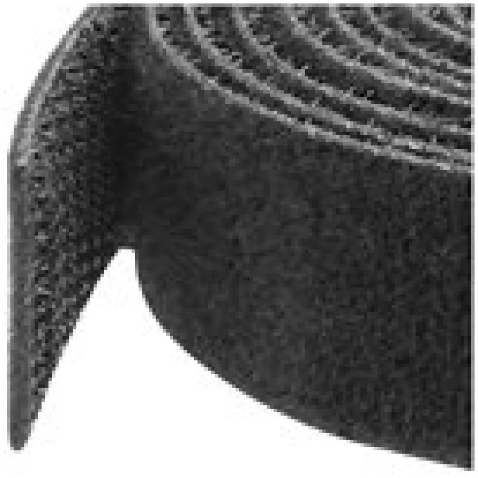 Startech 50ft. Hook and Loop Roll - Cut-to-Size Reusable Cable