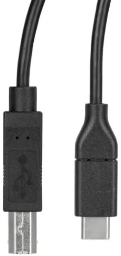 StarTech USB C to USB B Printer Cable - 1.6 ft / 0.5m - USB C