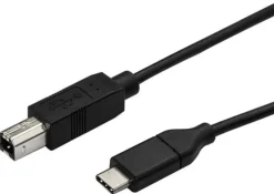 StarTech USB C to USB B Printer Cable - 1.6 ft / 0.5m - USB C