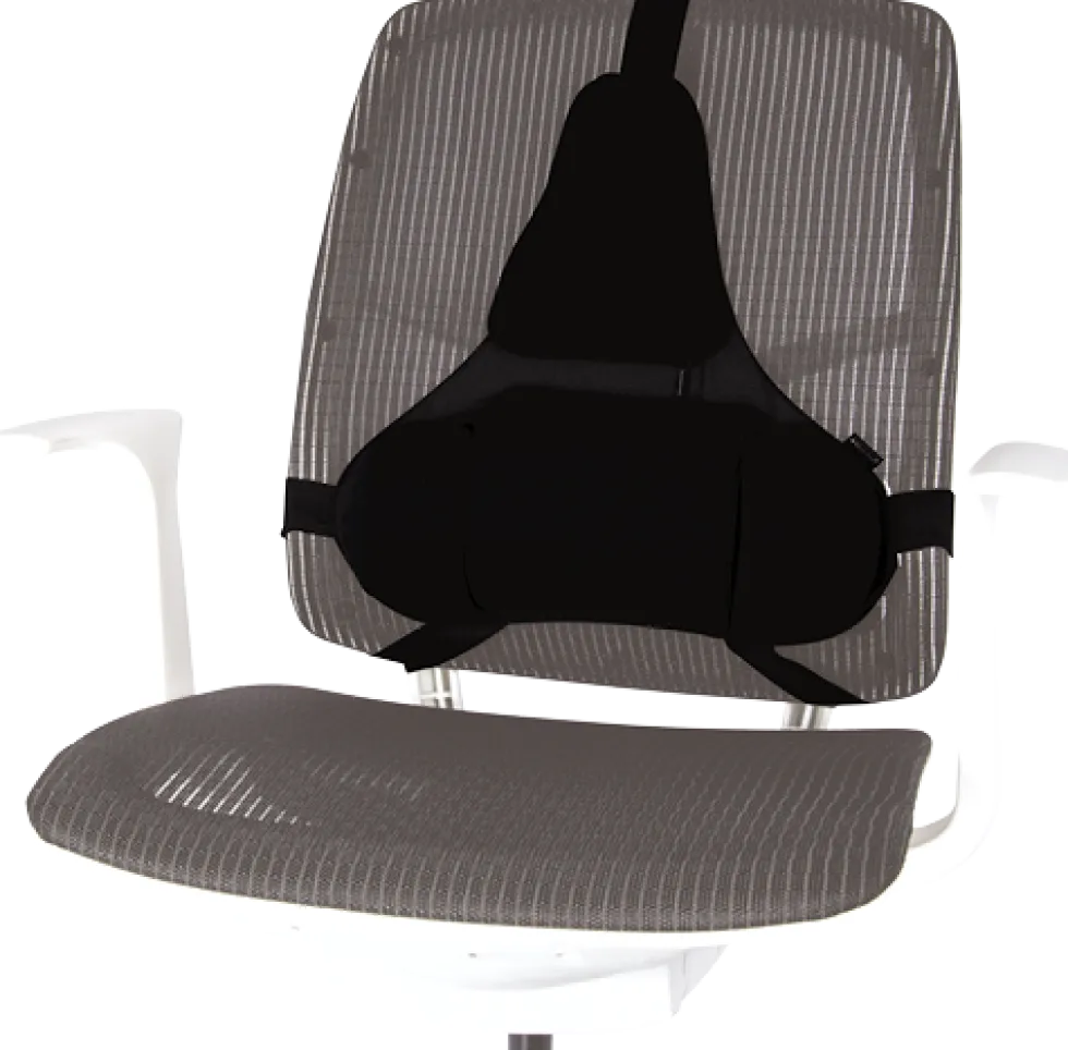 Svankstöd + korsrygg Fellowes Professional