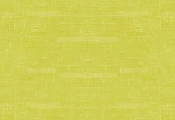 Tablett DUNI Silikon 30x45cm kiwi 6/fp