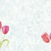 Tablett Tulips BIO DC 30X40cm 100/fp