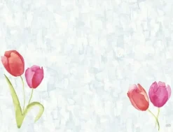 Tablett Tulips BIO DC 30X40cm 100/fp