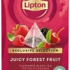 Te Lipton Pyramid Påse Forest Fruits, 25st