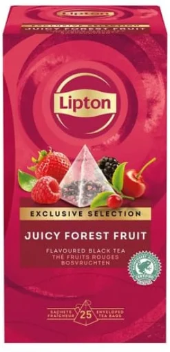 Te Lipton Pyramid Påse Forest Fruits, 25st