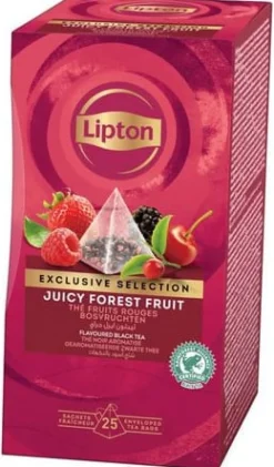 Te Lipton Pyramid Påse Forest Fruits, 25st