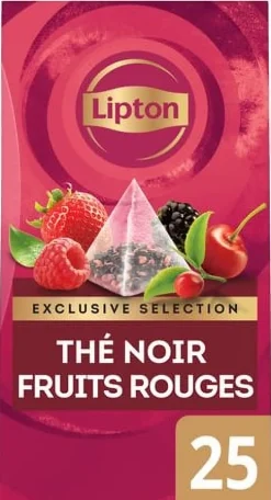 Te Lipton Pyramid Påse Forest Fruits, 25st