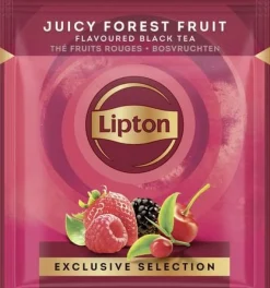Te Lipton Pyramid Påse Forest Fruits, 25st