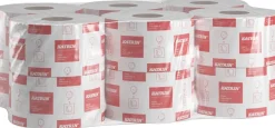 Toalettpapper KATRIN Basic Gigant S, 1-lager, 265m, 12/fp