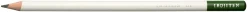 Tombow pencil Irojiten cactus green
