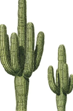 Tombow pencil Irojiten cactus green