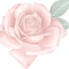 Tombow pencil Irojiten cameo pink