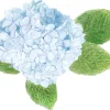 Tombow pencil Irojiten hyacinth blue