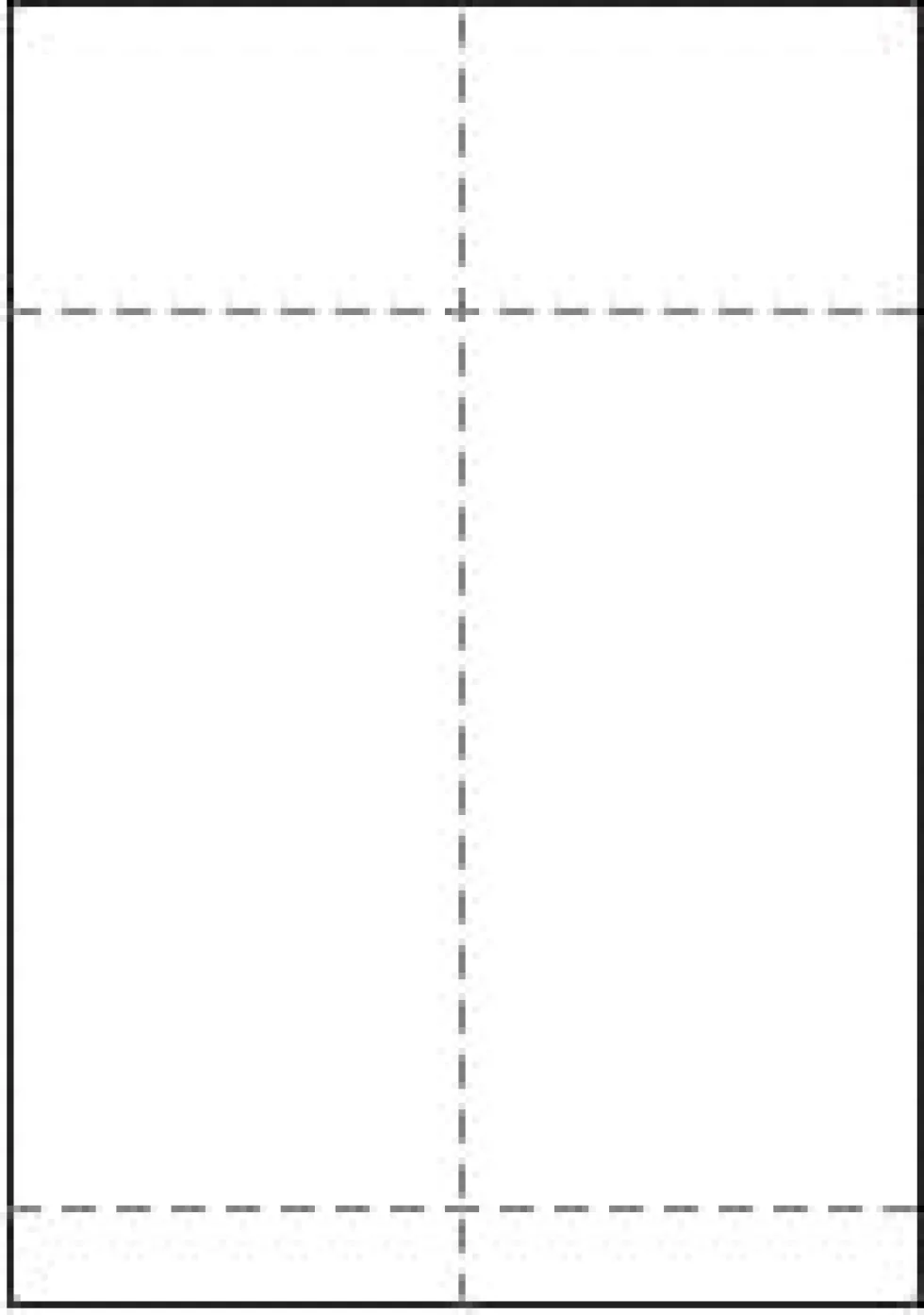 Transportetikett Laser, 104x268mm, 500/fp