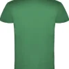 T-shirt PF beagle herr mossgrön 3XL
