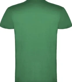 T-shirt PF beagle herr mossgrön L