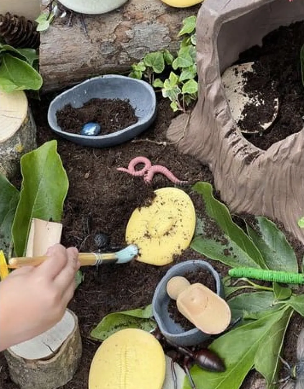 Undersök insekter av sten 8/fp